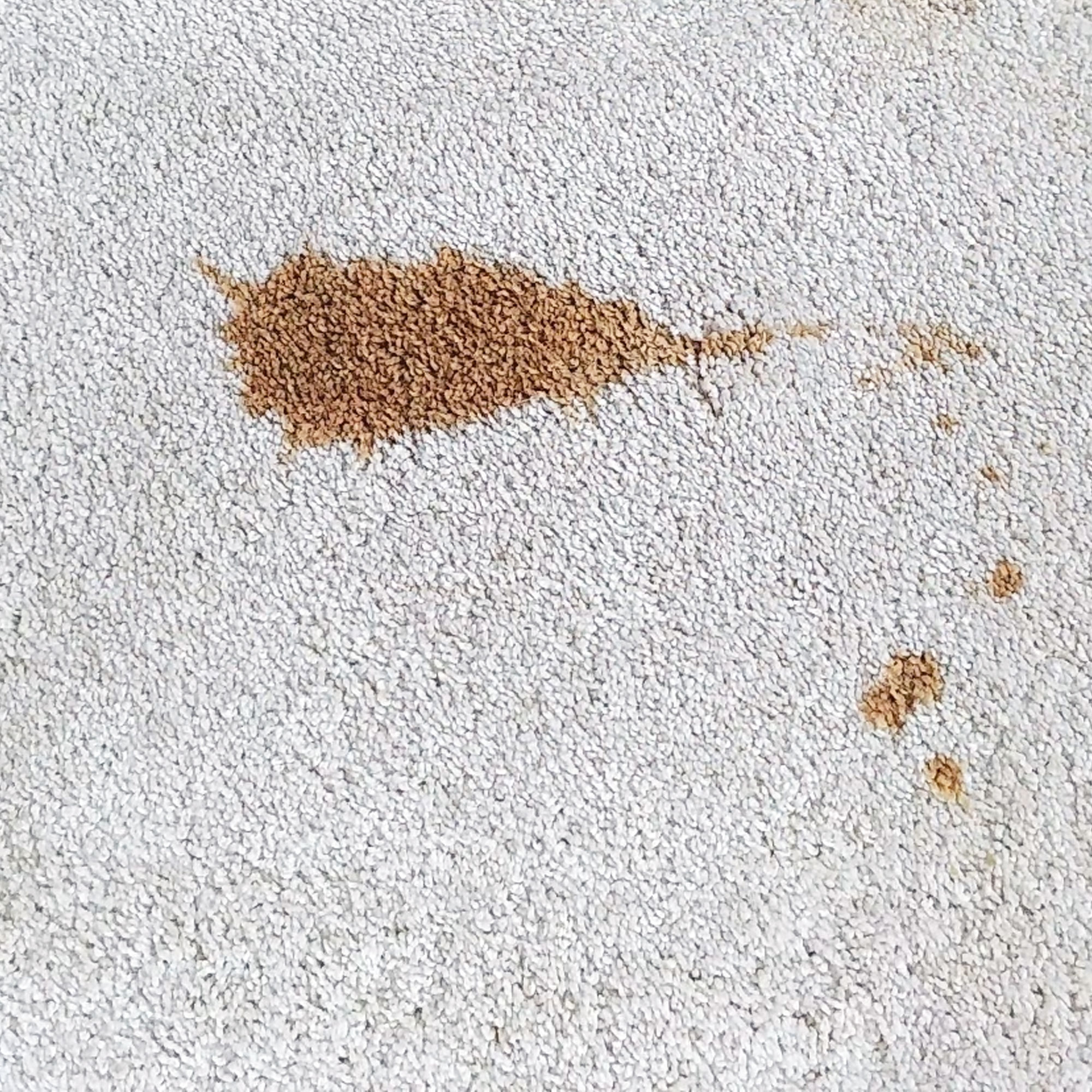 coffee spill on carpet