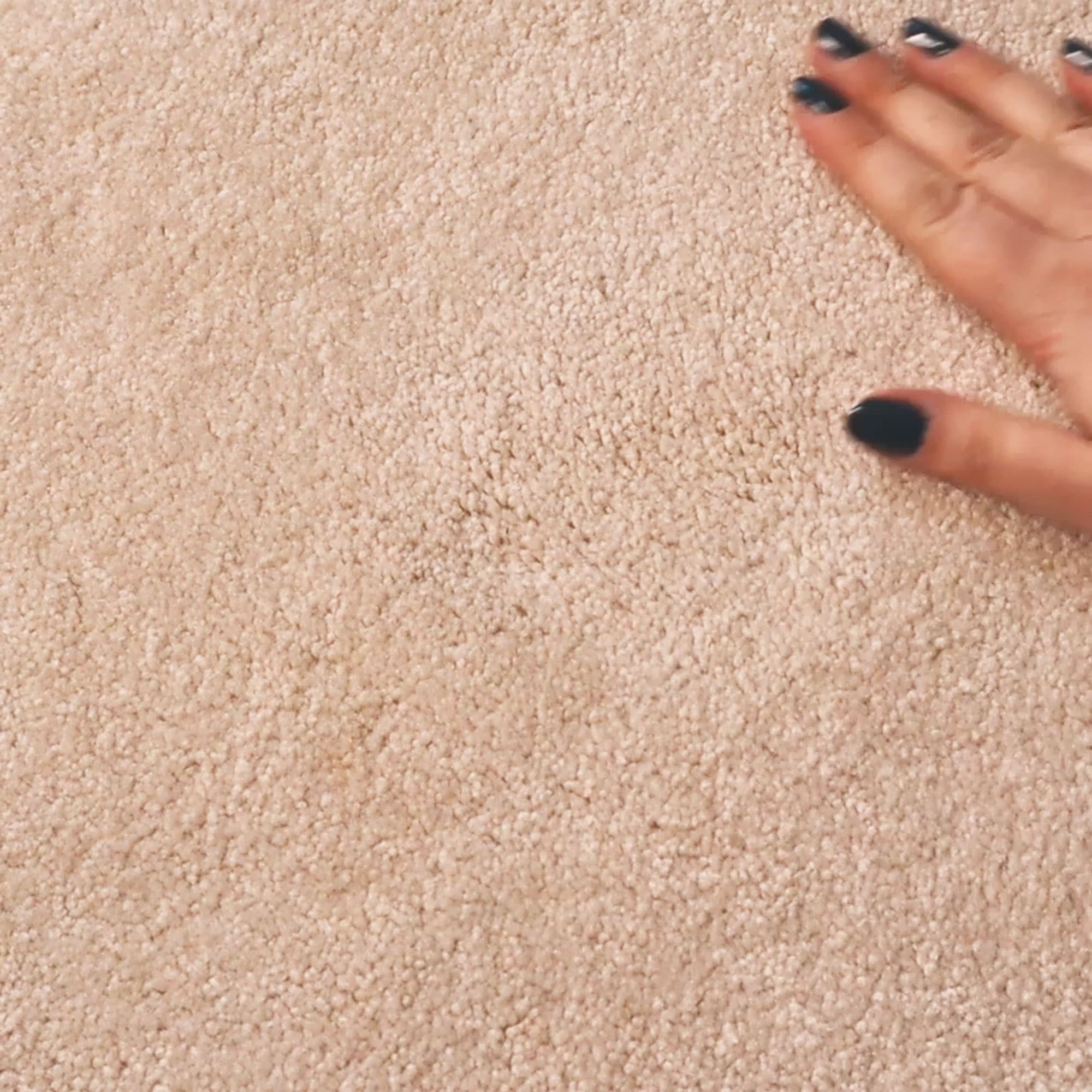 checking spot on carpet