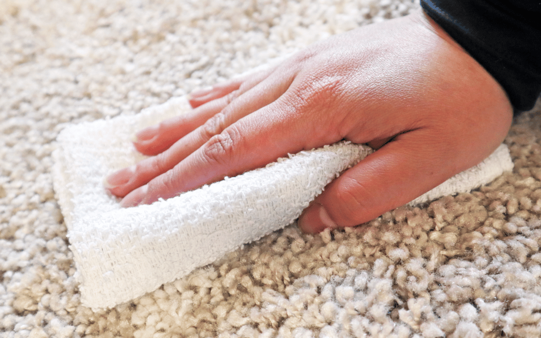 white towel on carpet