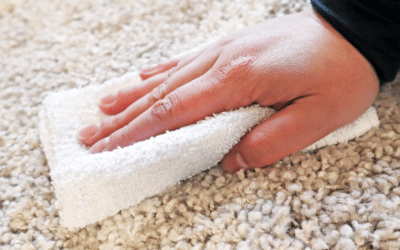 3 Reasons Why You Should Use a White Towel for Stain Cleaning